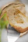 Closeup view of fried Cep mushroom slice on fork — Stock Photo