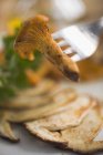 Closeup view of fried chanterelle mushroom on fork above sliced cep — Stock Photo