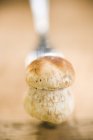 Vista de primer plano de champiñón fresco cep en tenedor - foto de stock