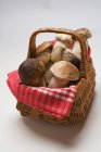 Fresh ceps in a basket — Stock Photo