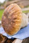 Closeup view of fresh cep mushroom on rustic cloth outdoors — Stock Photo
