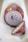 Close up of Red onion — Stock Photo