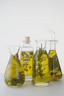 Quattro diversi oli di erbe in bottiglie su sfondo bianco — Foto stock