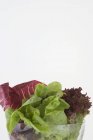 Змішане листя салату в мисці — стокове фото