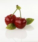 Pair of red cherries — Stock Photo