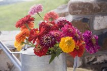 Daytime view of colorful flowers in watering can — Stock Photo