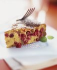 Pezzo di torta di mirtilli rossi — Foto stock