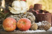 Рождественское украшение с красными яблоками — стоковое фото