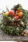 Weihnachtsdekoration mit Früchten und Zapfen — Stockfoto