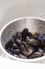 Fresh mussels in colander — Stock Photo