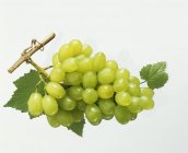 Пучок зеленого винограду з листям — стокове фото