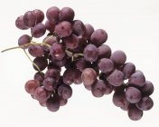 Свіжий червоний виноград — стокове фото