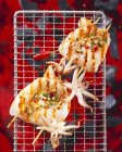 Tintenfischspieße auf dem Grill — Stockfoto