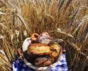 Корзина хлебных рулетиков — стоковое фото