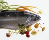 Trucha de salmón cruda con verduras - foto de stock