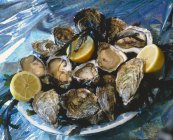 Plate of oysters and lemon halves — Stock Photo