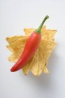 Nachos con peperoncino rosso — Foto stock