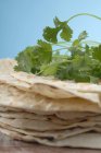 Closeup view of stacked Tortillas with fresh coriander — Stock Photo