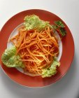 Carrot spaghetti with nappa cabbage leaves — Stock Photo