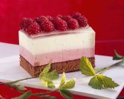 Raspberry yoghurt slice — Stock Photo