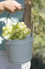 Donna che detiene uva verde — Foto stock