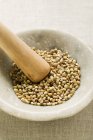 Coriander seeds in mortar — Stock Photo