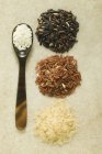 Четыре различных типа риса — стоковое фото