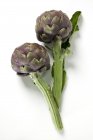 Artichauts violets frais — Photo de stock