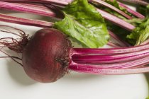 Beetroot with green leaves — Stock Photo