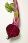 Beetroot with green leaves — Stock Photo
