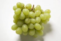 Ramo de uvas verdes frescas - foto de stock