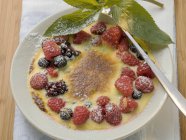 Closeup view of creme brulee with berries and icing sugar — Stock Photo