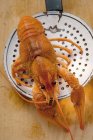 Crayfish de água doce cozido — Fotografia de Stock