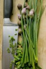 Erba cipollina fresca parzialmente tritata — Foto stock