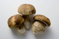 Три гриби, великим планом — стокове фото