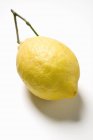 Свежий лимон со стеблем — стоковое фото