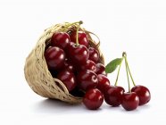 Fresh cherries in wire basket — Stock Photo