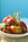 Tomates frescos con rama de olivo - foto de stock