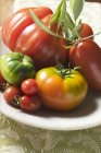 Frische Tomaten mit Olivenzweig — Stockfoto