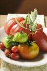Fresh tomatoes with olive sprig — Stock Photo