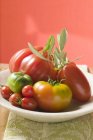 Assorted tomatoes with olive sprig — Stock Photo