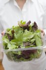 Mulher segurando salada — Fotografia de Stock