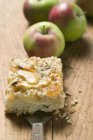 Pedazo de pastel de manzana crumble - foto de stock