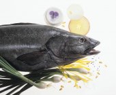 Raw Black sea bass — Stock Photo