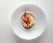 Maccheroni con crema di salsa e aragosta — Foto stock