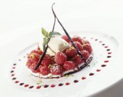 Raspberry dessert with vanilla ice cream — Stock Photo