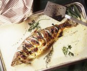 Roasted sea bass with herbs — Stock Photo