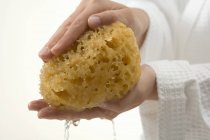 Closeup view of female hands squeezing wet sponge — Stock Photo