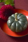 Green ripe pumpkin — Stock Photo