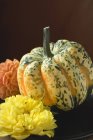 Coloured pumpkin with fresh flowers — Stock Photo